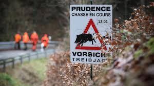Information des chasses en battue I Lots n° 375/376/378 et 409